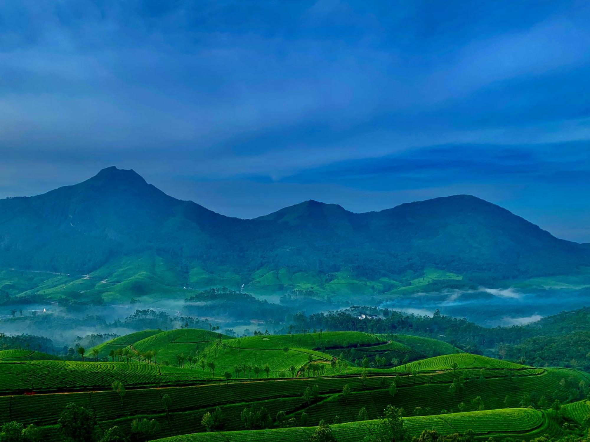 Lockhart Bungalow Munnar - A Cgh Earth Saha Experience Exterior foto