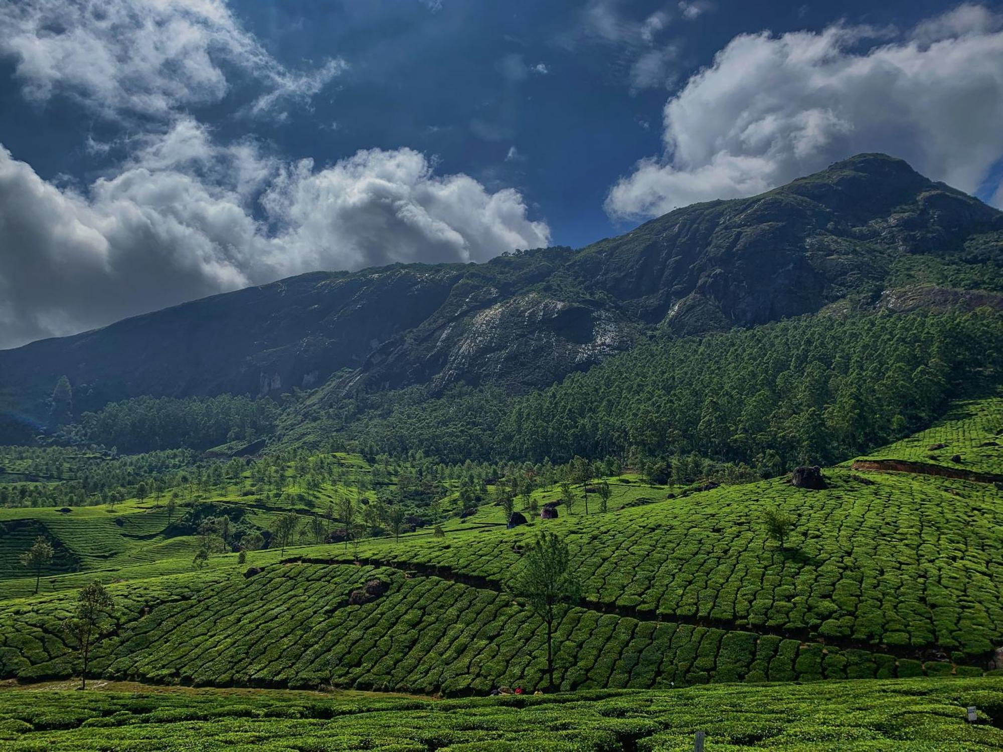 Lockhart Bungalow Munnar - A Cgh Earth Saha Experience Exterior foto