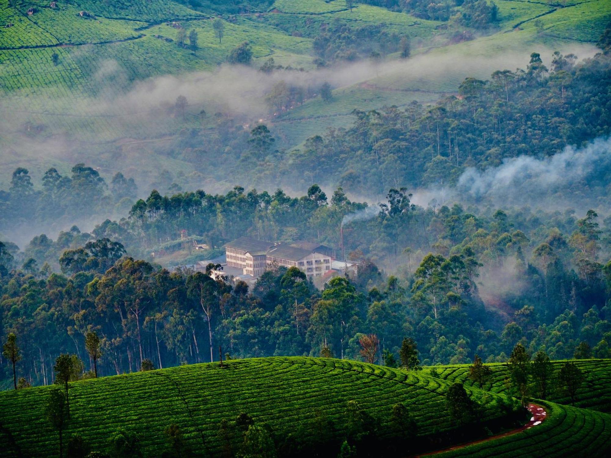 Lockhart Bungalow Munnar - A Cgh Earth Saha Experience Exterior foto